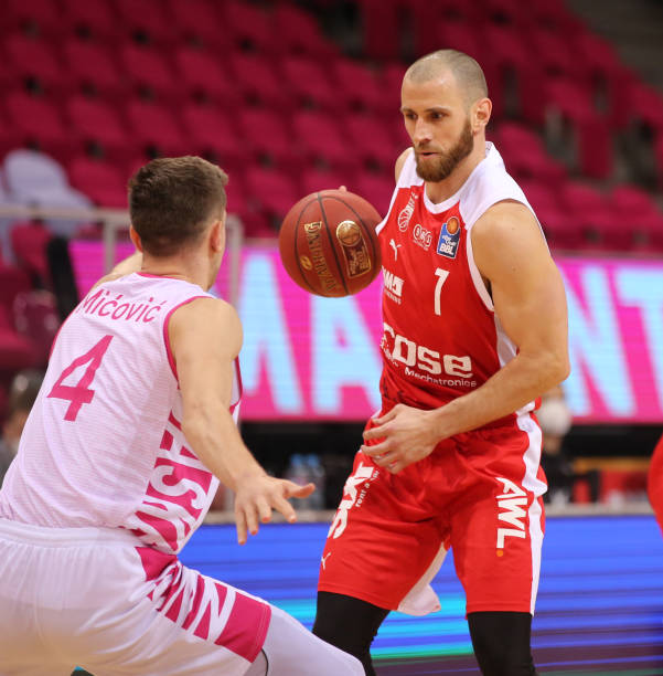 百贺飞驹 百贺飞驹