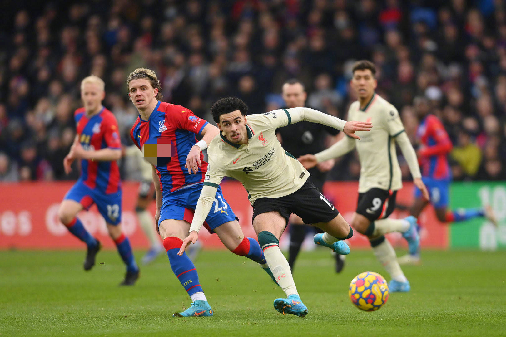 在近期举行 在近期举行